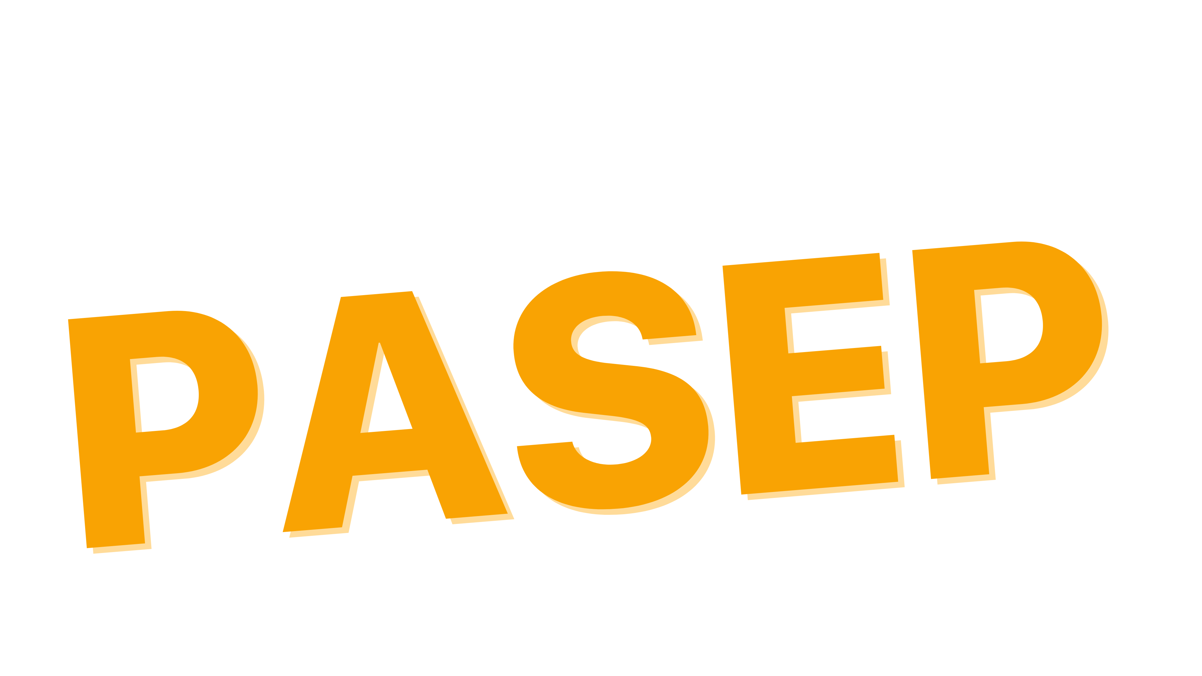 Curso PASEP