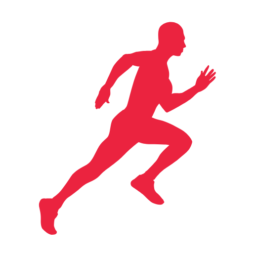 Descreva a imagem...