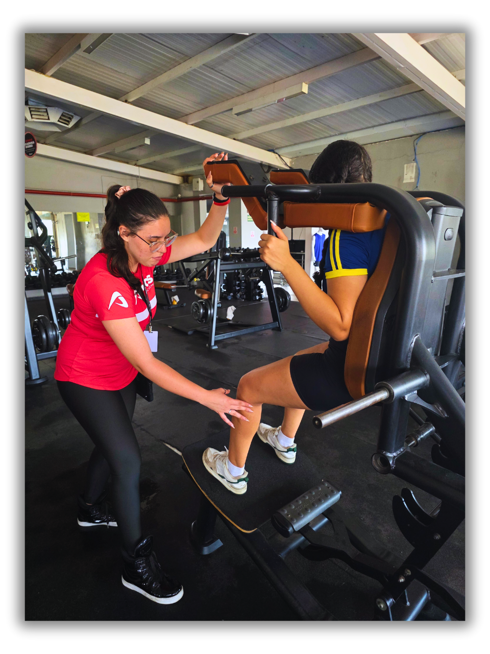 Descreva a imagem...