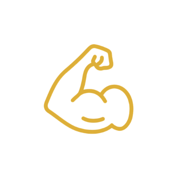 Descreva a imagem...