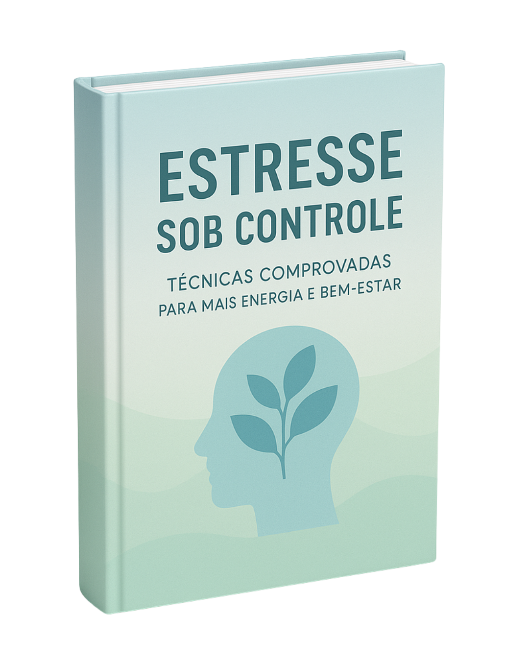 Mockup do Ebook Estresse sob Controle