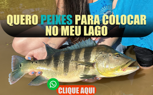 Imagem de exemplo