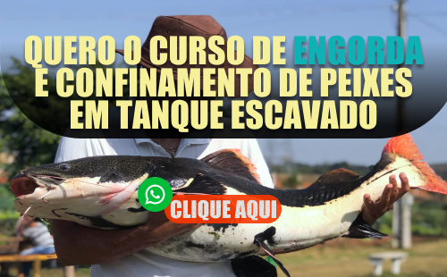 Imagem de exemplo