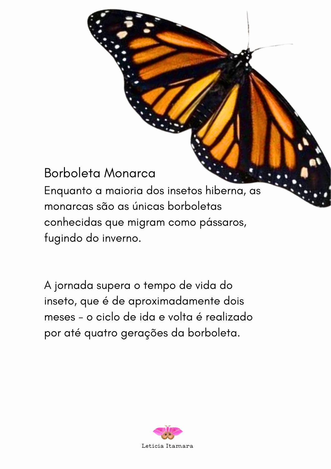 Prévia do eBook - Página 2