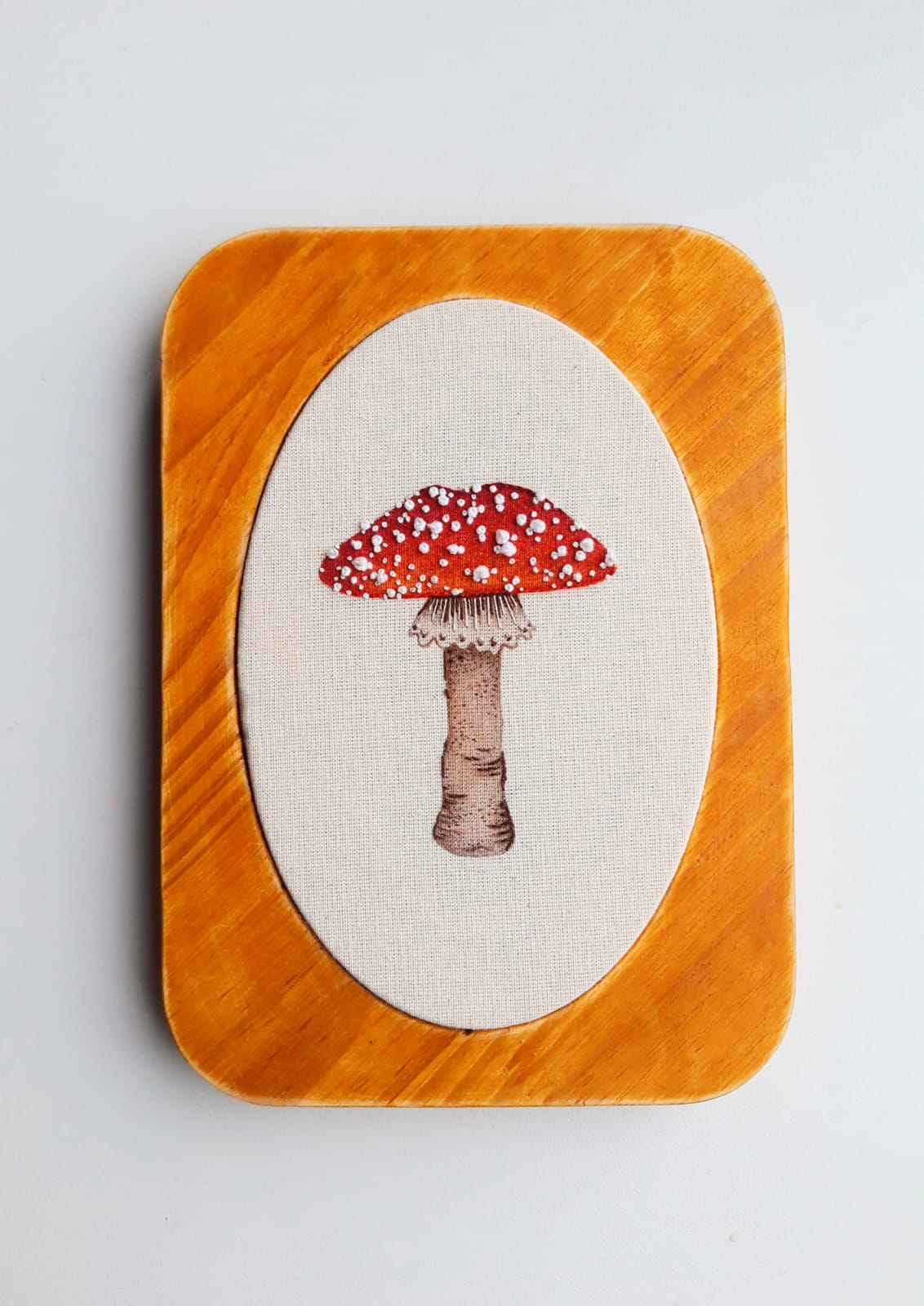 Aula Cogumelo finalizada em base de madeira