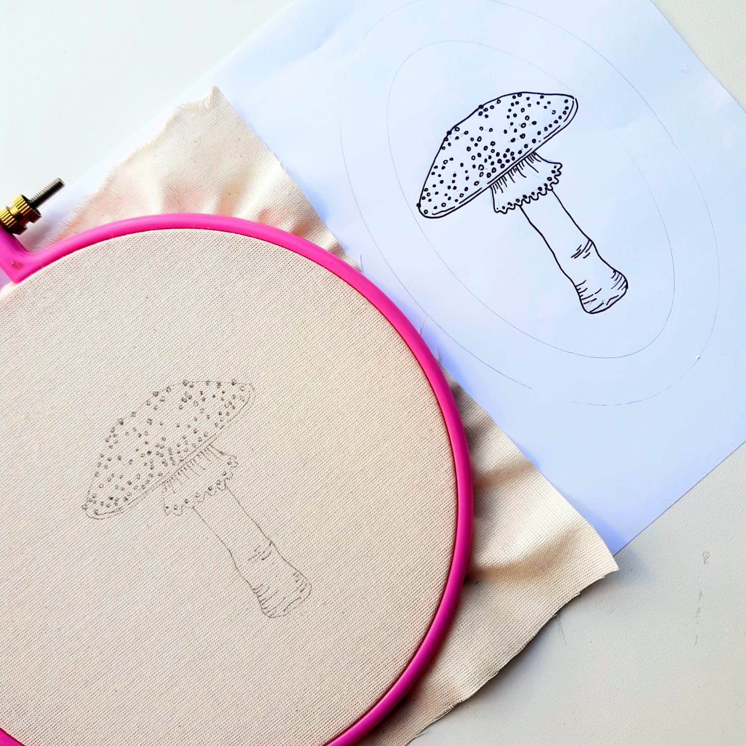 Risco do cogumelo no algodão