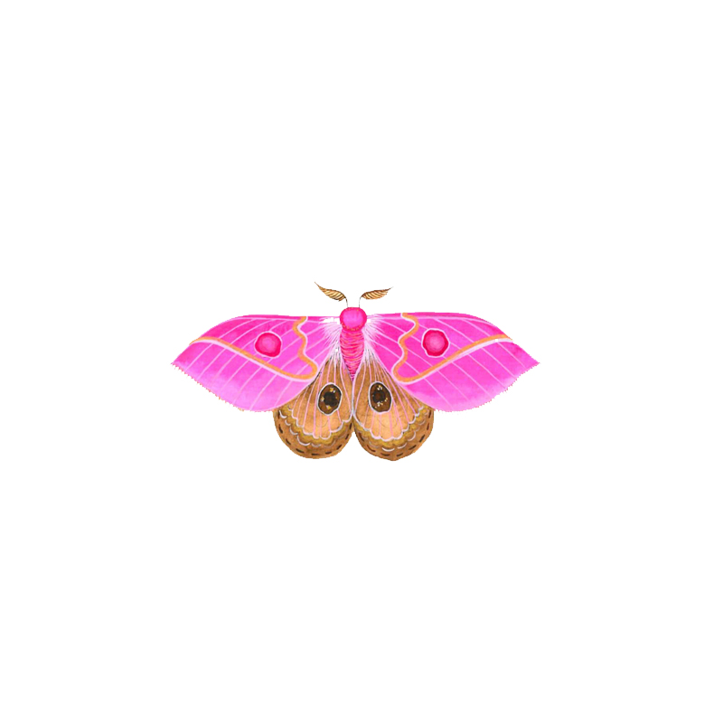 Logo do footer