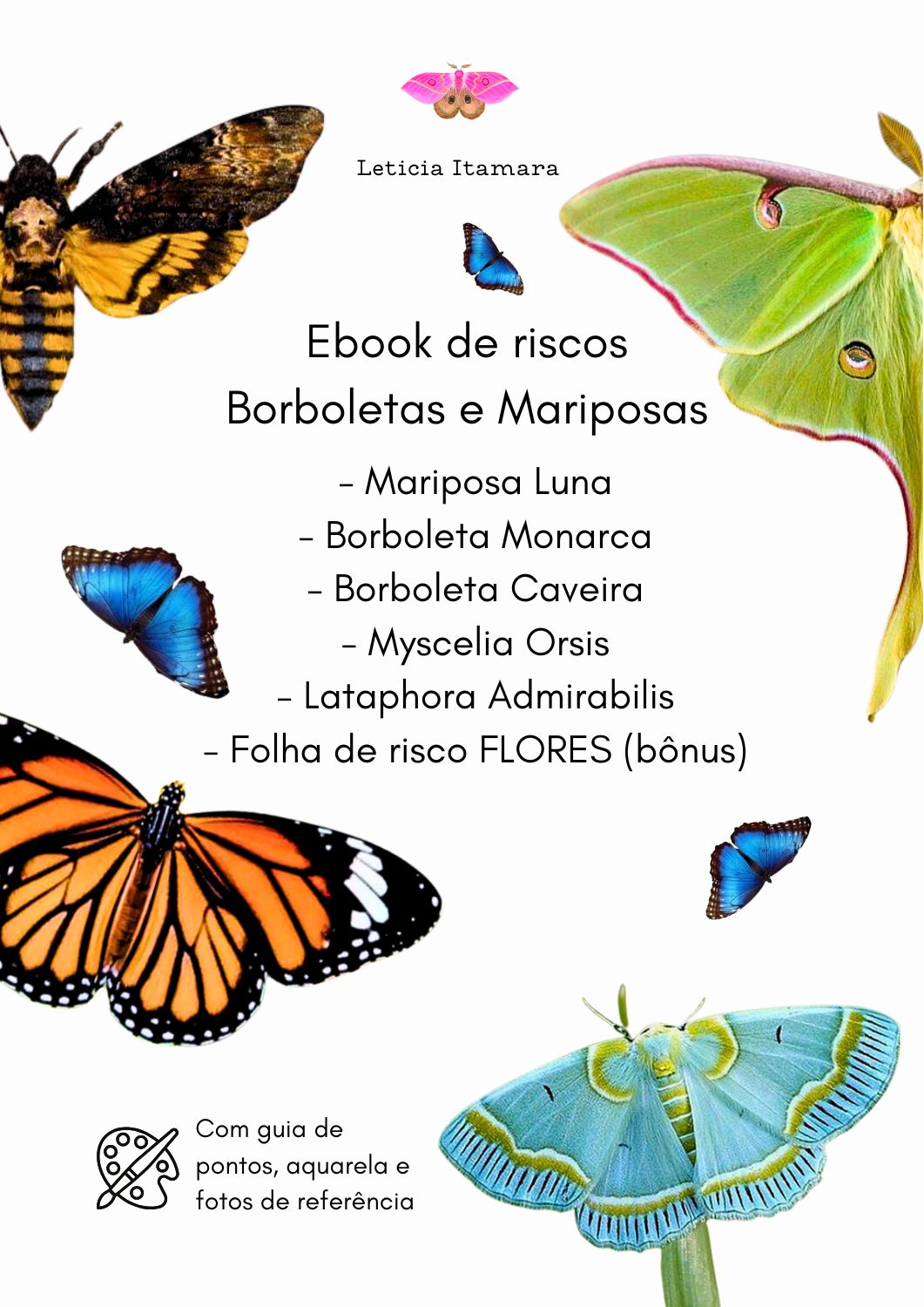 eBook Mariposas e Borboletas