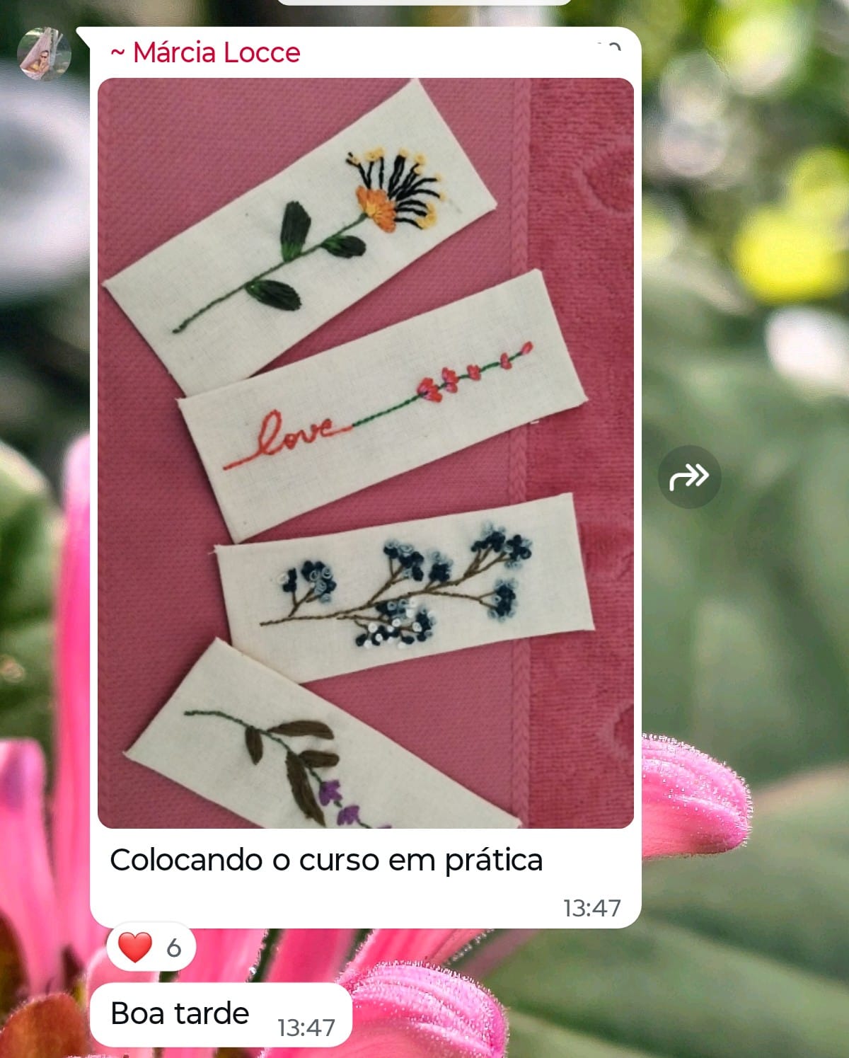 Marcadores Márcia Locce