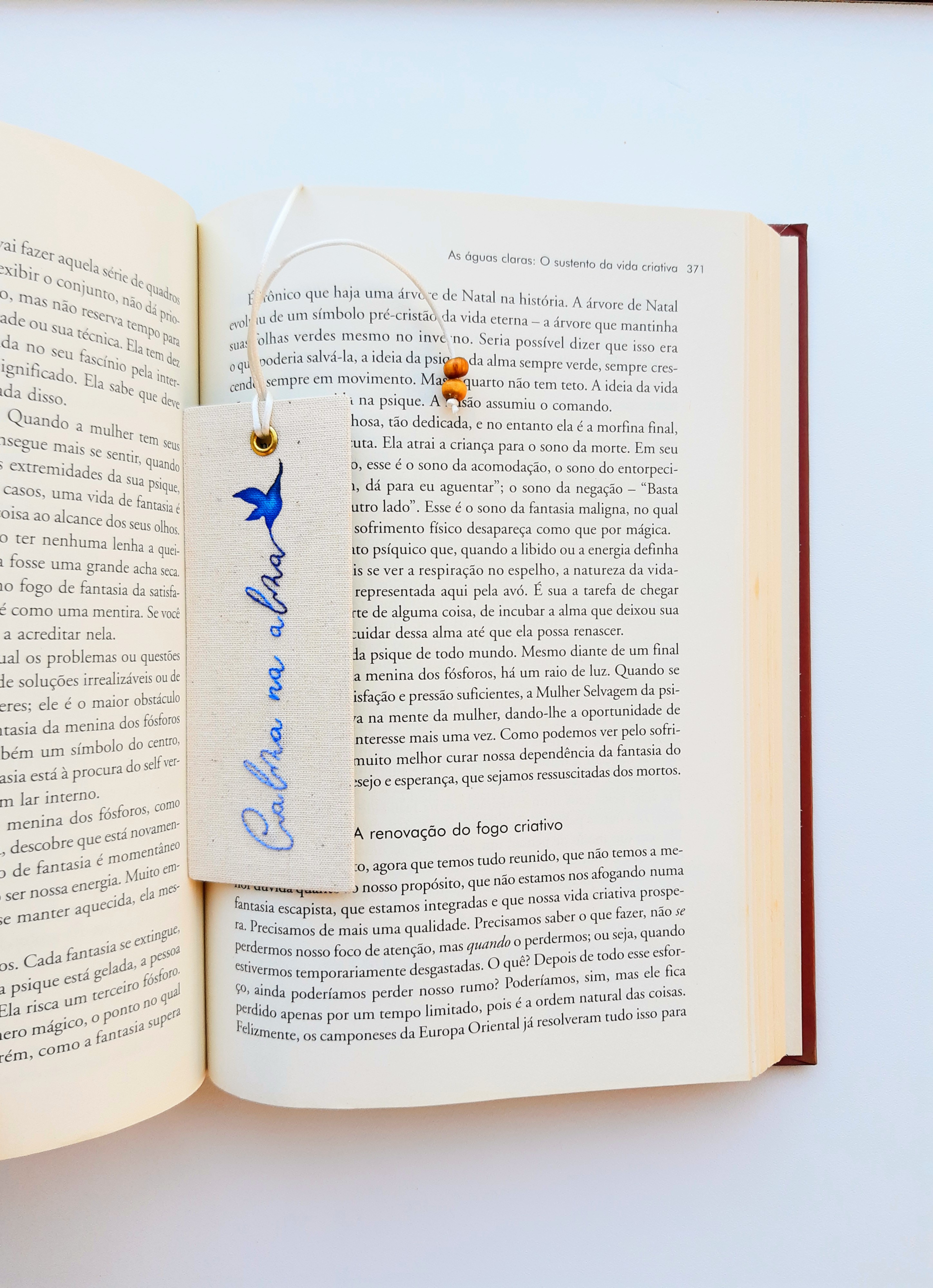 Exemplo do risco aplicado no bastidor