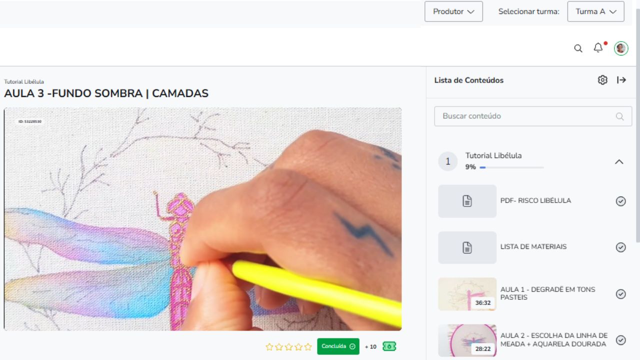 Dentro do Tutorial Libélula na Hotmart