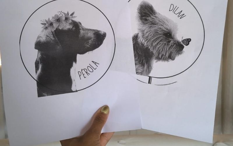 Módulo 7 - Projeto Livre Pet