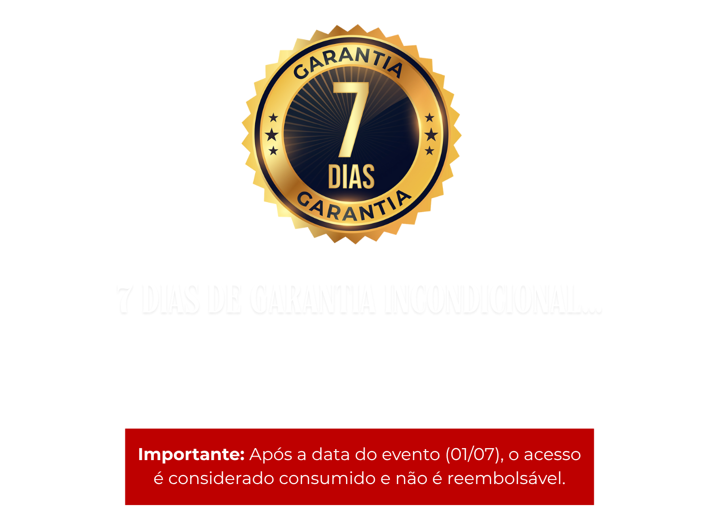 Descreva a imagem...