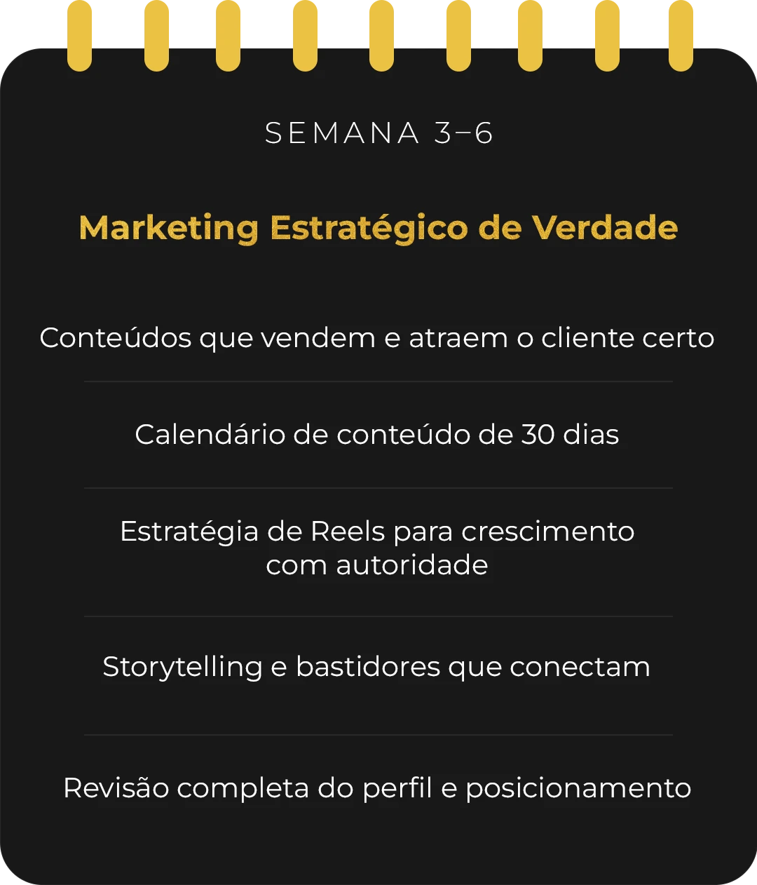 Descreva a imagem...