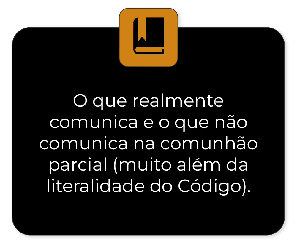 Descreva a imagem...