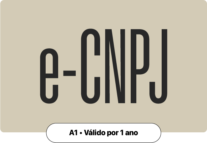 Descreva a imagem...