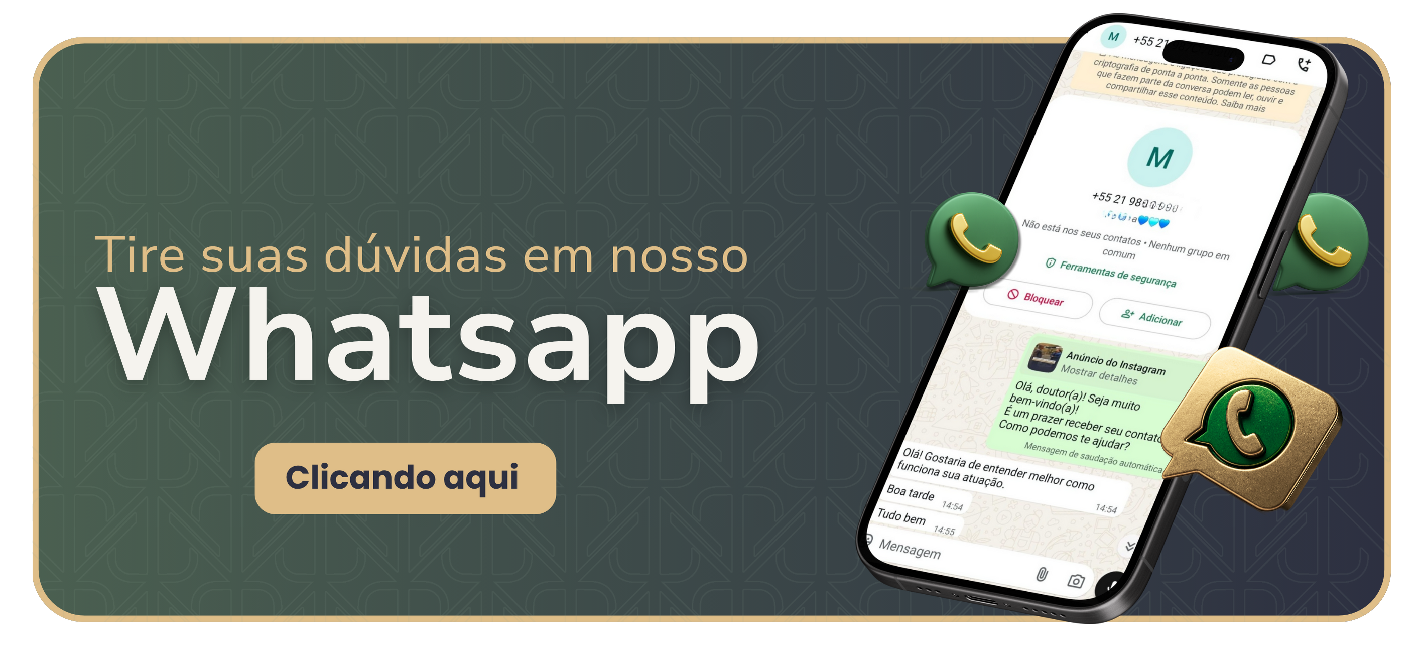 Descreva a imagem...