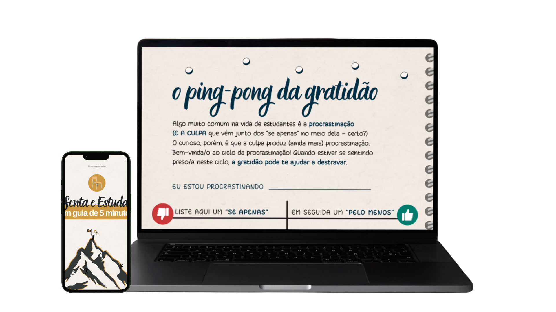 Período dias 8-14 - imagem pilar 2