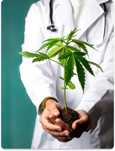 Tratamento Canábico