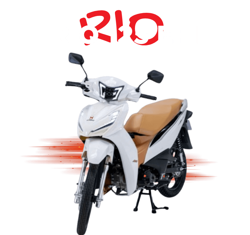 Descreva a imagem...