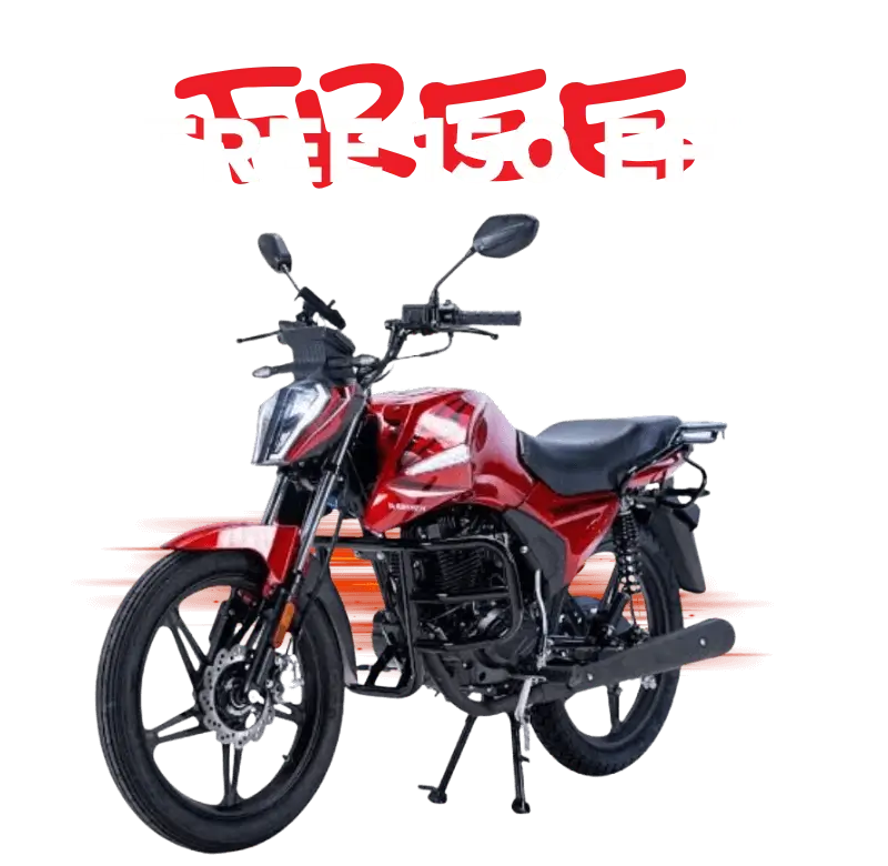 Descreva a imagem...