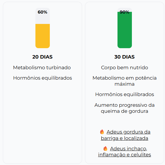 Alimentos saudáveis do protocolo metabólico
