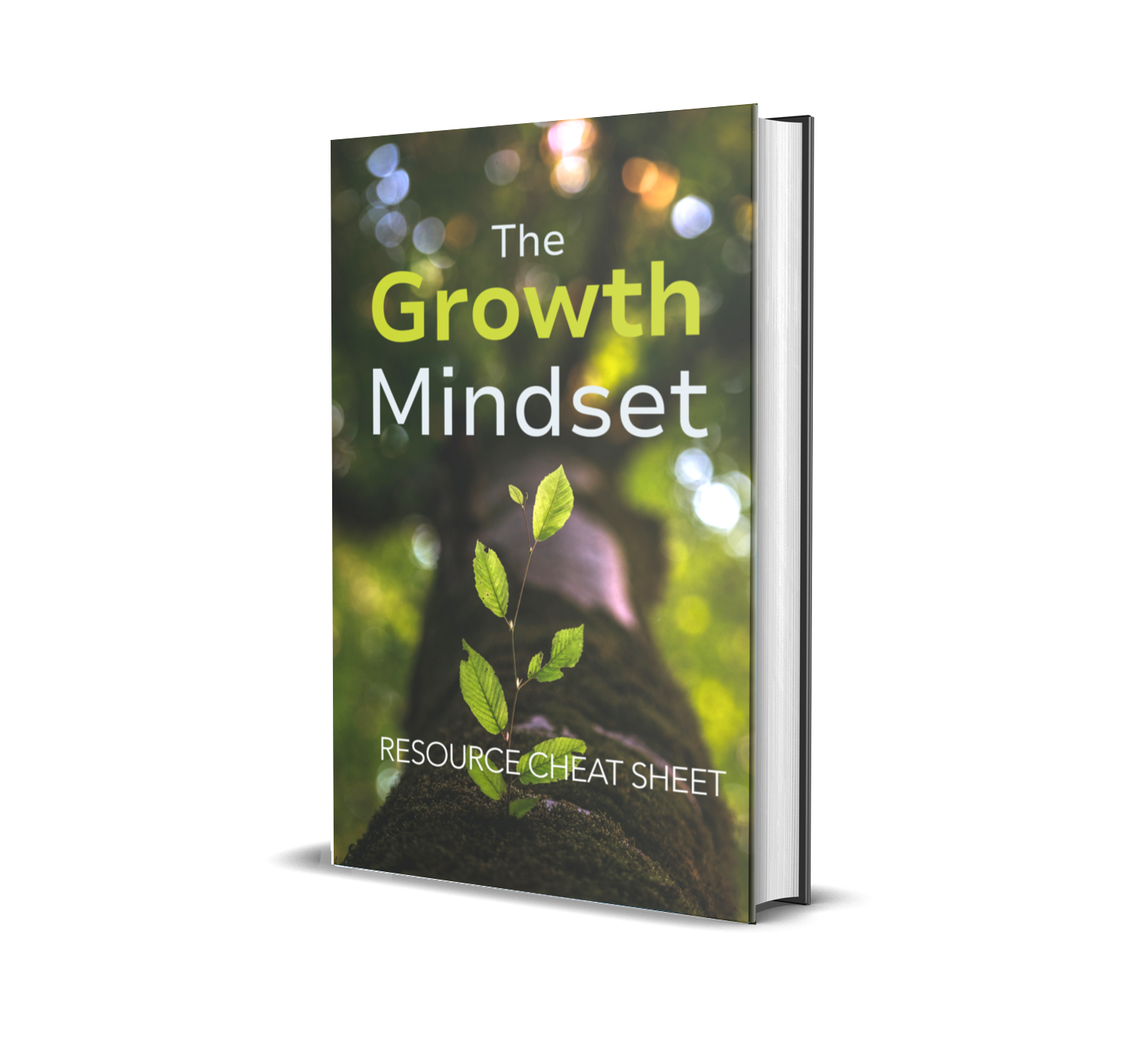 The Growth Mindset 