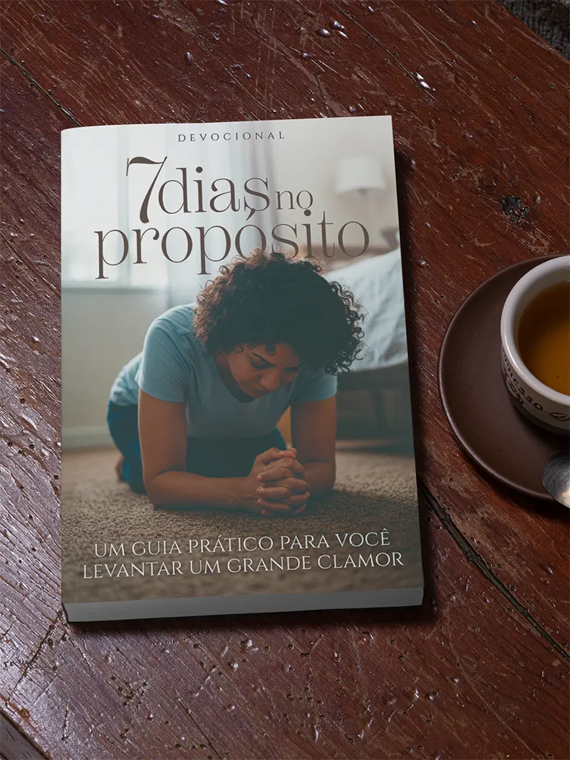 Descreva a imagem...